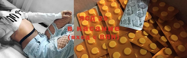 индика Няндома