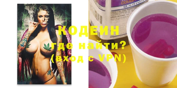индика Няндома