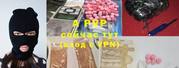 индика Няндома