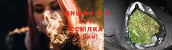 индика Няндома