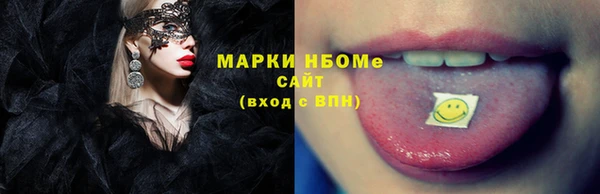 индика Няндома