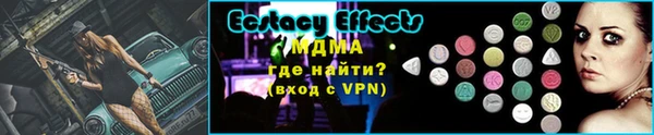 индика Няндома