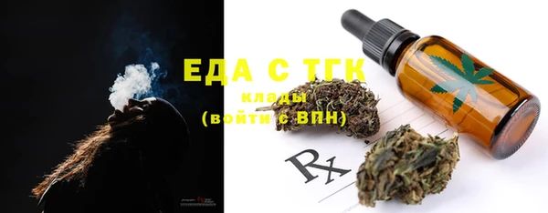 индика Няндома