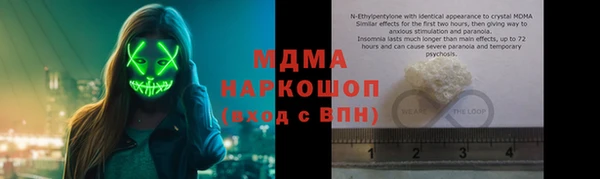 индика Няндома