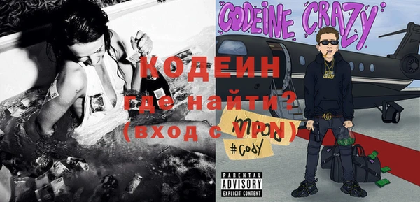 индика Няндома