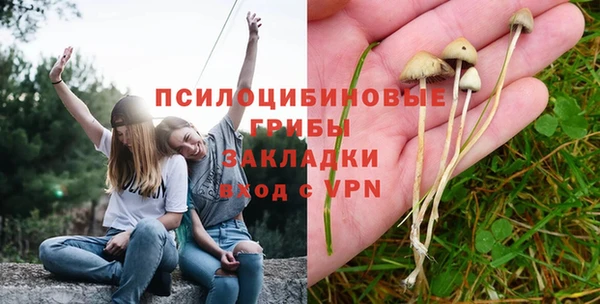 амф Нязепетровск