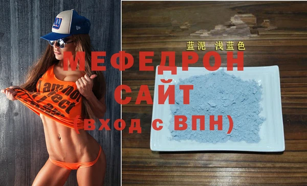 индика Няндома