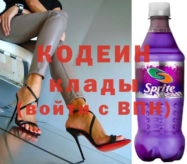 индика Няндома