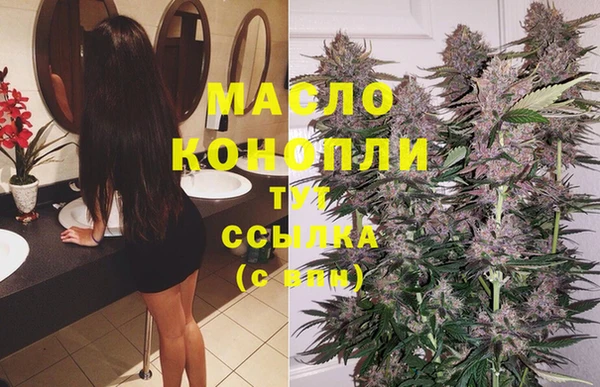 индика Няндома