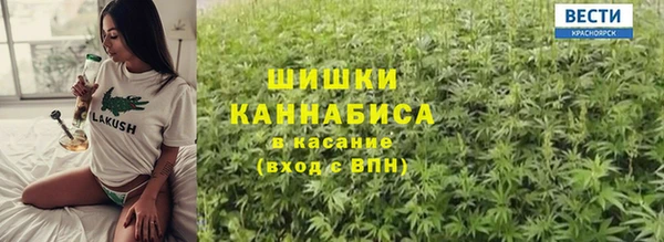 индика Няндома
