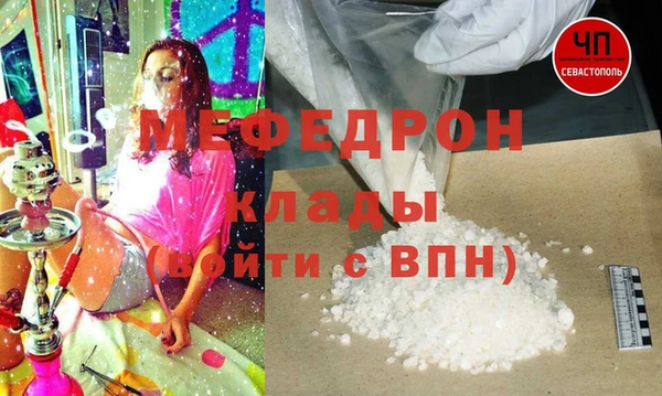 индика Няндома