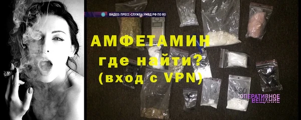 индика Няндома