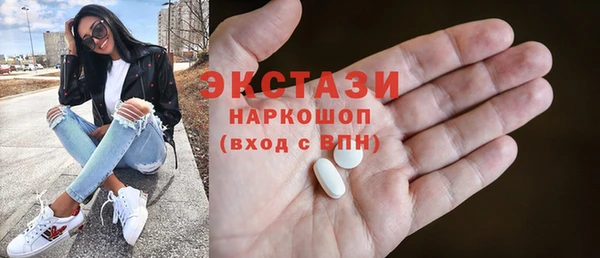 индика Няндома