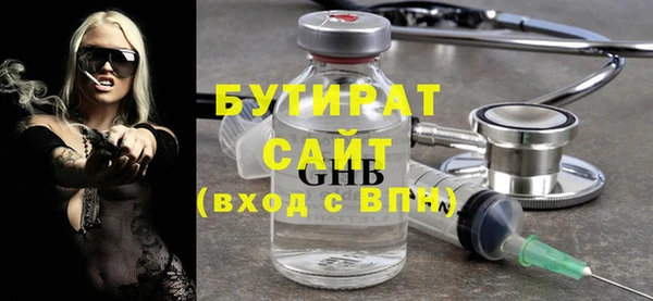 индика Няндома